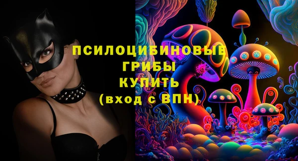 spice Вязники
