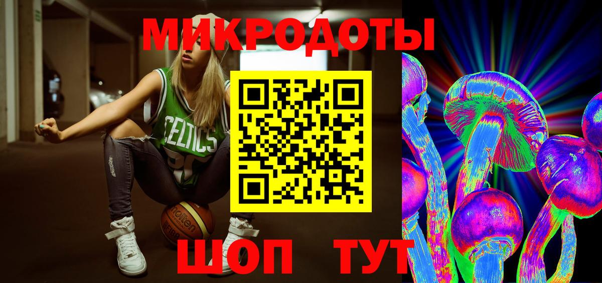 Псилоцибиновые грибы Psilocybine cubensis  Бийск  Псилоцибиновые грибы Cubensis 