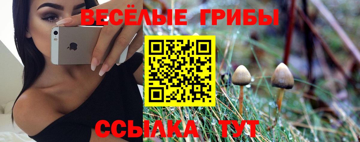 Галлюциногенные грибы мухоморы Бийск