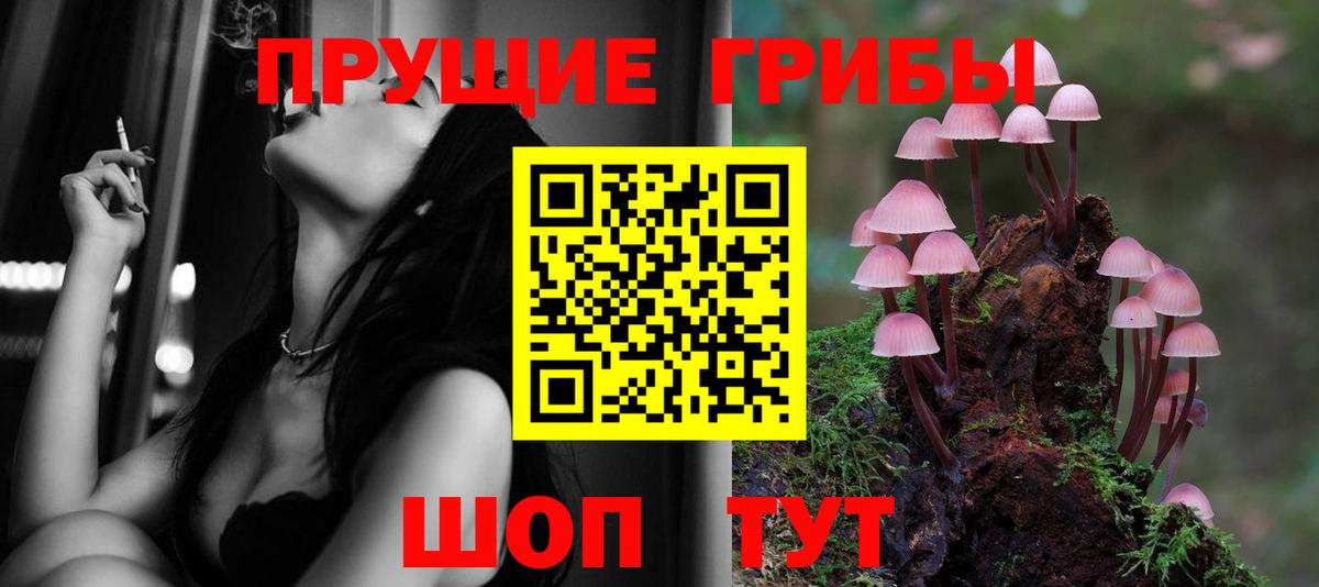 Бийск  Псилоцибиновые грибы GOLDEN TEACHER  Вход с VPN 
